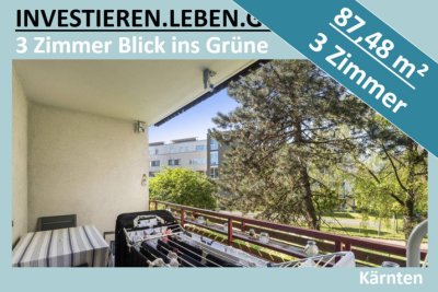 3 ZIMMER BLICK INS GRÜNE