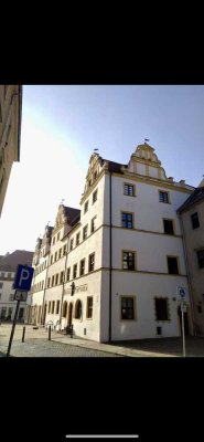 Freundliche 1-Zimmer-Wohnung in Torgau