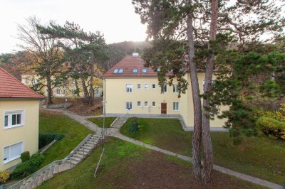 ANLEGERHIT IN MÖDLING - 3-ZIMMER-WOHNUNG IM DACHGESCHOSS MIT GRÜNBLICK