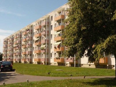 4 Raumwohnung sucht kleine Familie!   +++ ab sofort zu vermieten+++