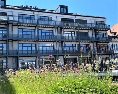 Schöne 1,5 Zi.- Whg. mit Balkon zum Innenhof