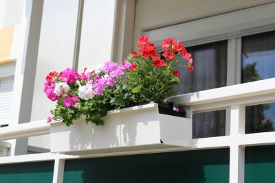 WOBAG "Alles, außer gewöhnlich!" - kleine 1-Raumwohnung mit großem Balkon sucht Nachmieter