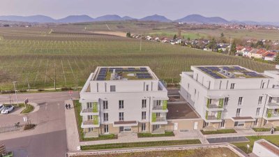 ++ ERSTBEZUG! - 4 ZKB Familienwohnung, Terrasse & Grünfläche in Feldrandlage in LD-Südwest! ++