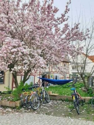 Single/Paarwohnung im Weender Altdorf
