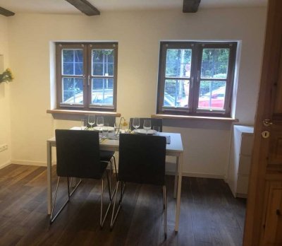 1,5-Zimmer Wohnung in München Au ab Mai für 1 Jahr