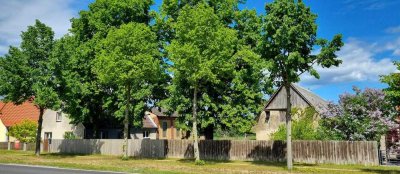 Behalten Sie den Blick zu Ihren Pferden - ehem. Bauernhof