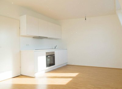 Garconniere sonnig,ruhig, AllgGarten nahe CITY PARK