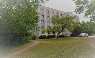 Voll-Möbliertes 2-Zimmer Apartment, mit Küche, in Bitterfeld-Wolfen
