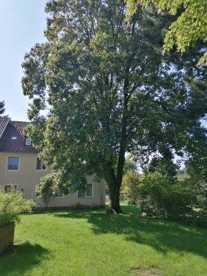 Terrassenwohnung im Hehlentor