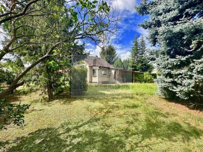 Sanierungsobjekt auf schönem Grundstück zu verkaufen!