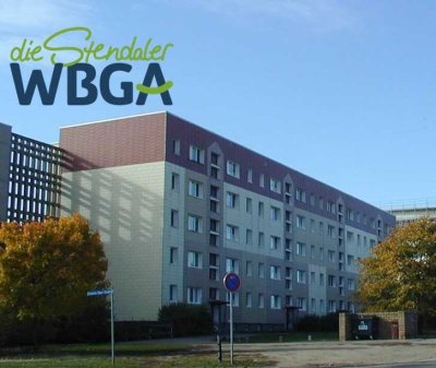 schöne renovierte 3 Raumwohnung mit Balkon und Tageslichtbad
