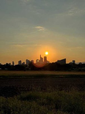 2 rooms flat in Frankfurt Oberrad: Urban life with Rural Charm