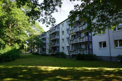 3 Zimmer in Waldstadt