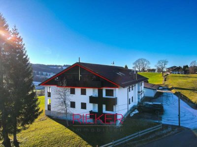 "Allgäu pur"  Modern sanierte Wohnung - Sauna, Schwedenofen, Balkon mit Fernblick - huiii.