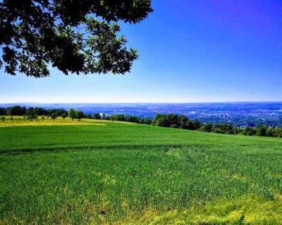 Neues 5-Zimmer Reihenendhaus in  Dresden - Rockau