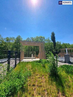 Jetzt Sonderaktion nutzen! STOP - Schauen Sie sich das an! Geniale Neubauwohnung mit WOW-Effekt! Riesiger Balkon und Terrasse + Privater Dachgarten + Grün wohin das Auge reicht + Luftwärmepumpe!