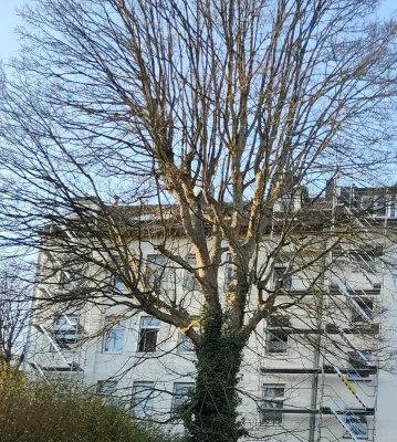Moderne Dachgeschosswohnung mit Blick über Wuppertal