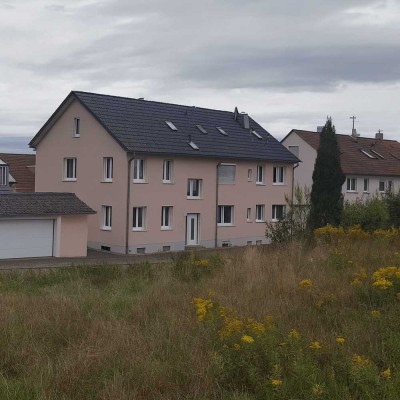 Sanierte 2-Zimmer-Wohnung mit Terrasse und Einbauküche in Wendlingen am Neckar