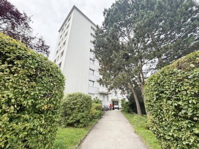 Blick auf Linz