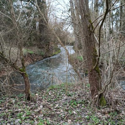 Einzigartiges Anwesen in Weil der Stadt – Vielseitige Nutzungsmöglichkeiten und großes Potential