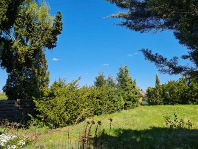 Nur noch ein Haus frei! Neubau-Doppelhaushälfte mit großem Garten in herrlich naturnaher Wohnlage