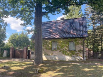 Natur genießen, Ruhe finden – Ihr neues Zuhause im Grünen