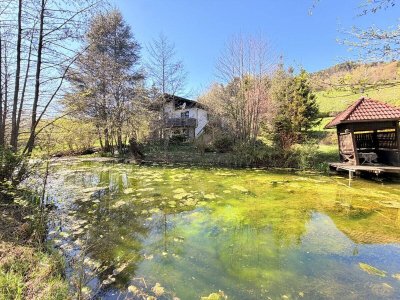 Ferienhaus mit weitläufigem Grundstück, Schwimmteich und natürlichem Wasserlauf