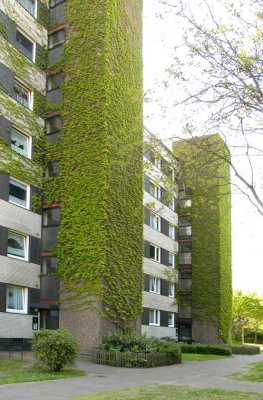 Helle Erdgeschoß-Wohnung einfach zum Wohlfühlen!