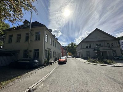 Einzigartigste Loftwohnung im Neckartal - Lichtdurchflutete Räume und Balkon mit Blick ins Grüne