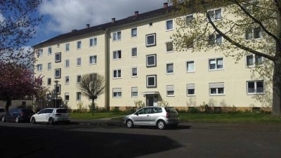 Wehlheiden - 3 ZKB / Renovierungsbedürftig - in grüner Lage