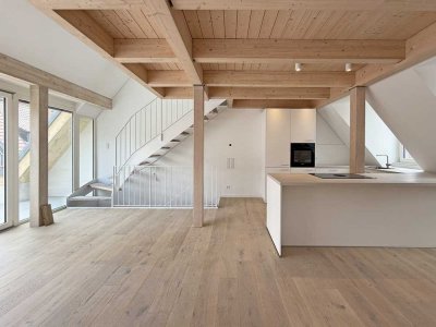 Erstbezug: Moderne 3,5 Zi.-Maisonette, KfW-55 Neubau, Galerie & sonnige Dachterrasse mit Burgblick