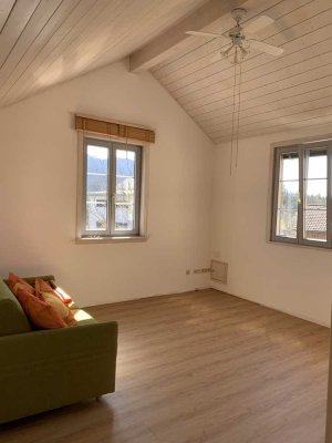 Helles 1,5-Zimmer-Appartement mit Gartenmitbenutzung – ab September – 79686 Hasel