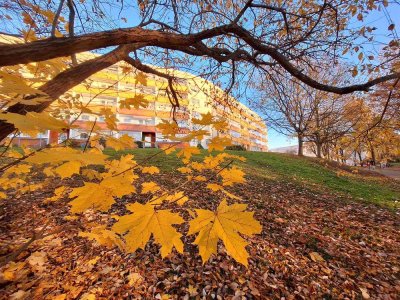 Was für ein Ausblick! Sanierte 2-Raum-Wohnung mit verglastem Balkon u. Badewanne in gut...