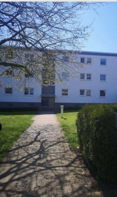 Exklusive, vollständig renovierte 2-Raum-EG-Wohnung mit Balkon und Einbauküche in Pliezhausen