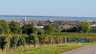 Großzügige Familienwohnung in der Storchenstadt Rust am See