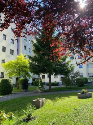 Eine 3 Zi Wohnung in Rastatt-Rheinau ab sofort zu vermieten