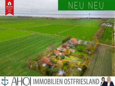 Einen Steinwurf vom Deich:
Teilmodernisiertes Einfamilienhaus mit Nebengebäude auf 
weitläufigem G