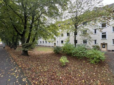 Neue Wohnung, neues Glück!