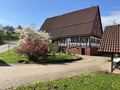 Bauernhaus mit großem Grundstück, Reitplatz und Pferdeboxen-Fachwerkhof ideal für Tierliebhaber