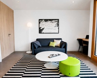Voll-möblierte und ausgestattete 2-Zimmer Wohnung mit  Sonnenterrasse in München-Sendling-Westpark