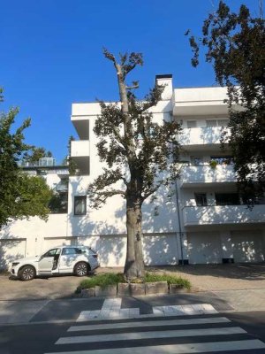 Wiesbaden Sonnenberg 990 €, 90 m², 3 Zimmer