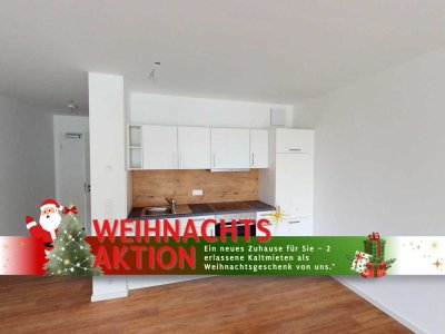*Jetzt Weihnachtsangebot sichern* 1-Zimmer-Wohnung mit großer Terrasse und EBK