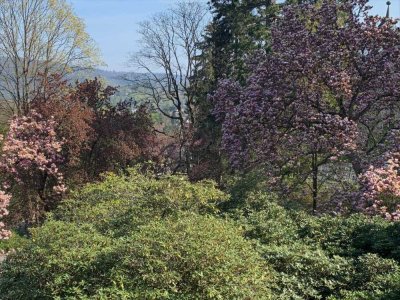 Exklusives 4-Zimmer-Domizil mit Terrasse auf Parkgrundstück in Baden-Baden