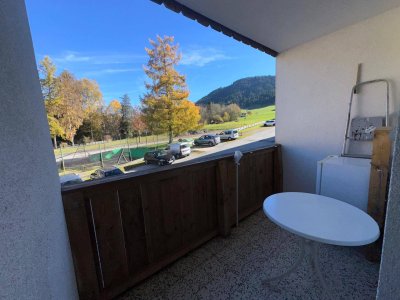 Einzimmerapartment in Niederau