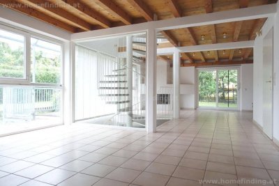 sonniges Einfamilienhaus nahe der Alten Donau - 4 Schlafzimmer