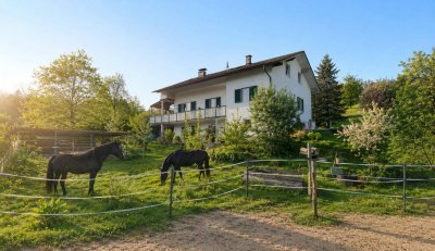 Deine Pferde und Du - im Vulkanland Steiermark bei Feldbach