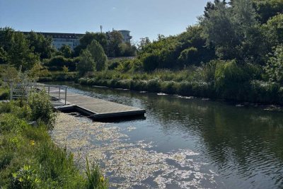 Hafen 1 - Attraktives Wohnen am Wasser | 2 Terrassen | Bad mit Dusche | Offene Küche | Parkett
