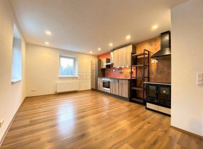 komplett sanierte Wohnung mit Balkon, Kellerabteil und Parkplatz - auch als Ferienwohnung geeignet!