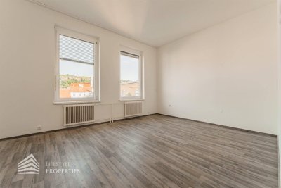 Helle 1-Zimmer Wohnung mit Terrasse in Krems an der Donau, Nähe Göglhaus