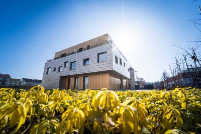 Exklusive 2,5-Zimmerwohnung im Neubaugebiet ,,Brechtener-Heide''